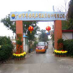 广州番禺贝岗校区