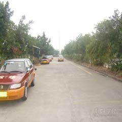 广州番禺南亭校区