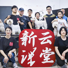 上海寵物美容C級(jí)培訓(xùn)課程