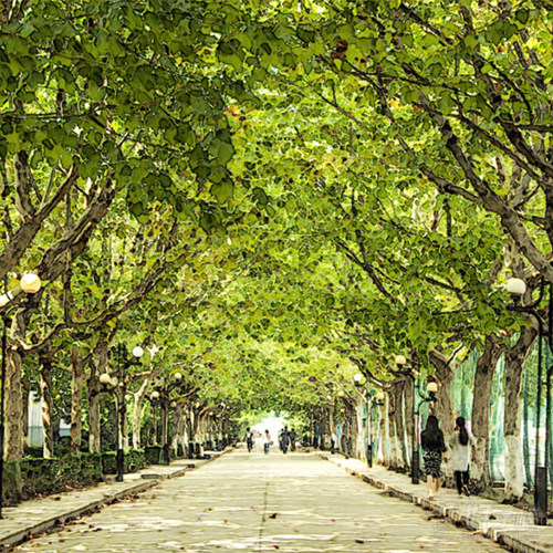 南京鼓楼教学点