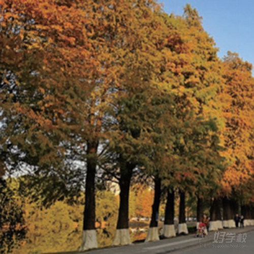 广州番禺授课点