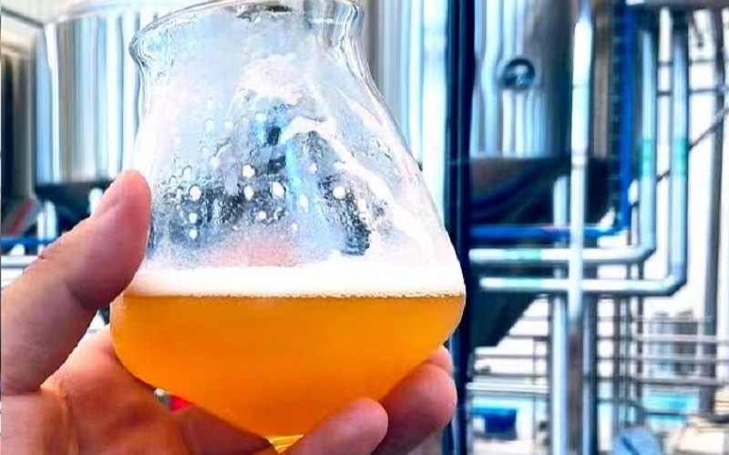 啤酒酿造中级课培训班