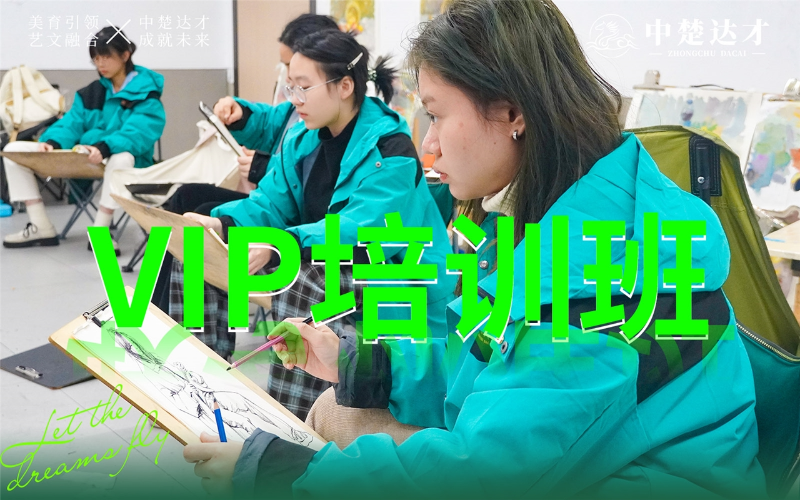 长沙美术艺考VIP培训班