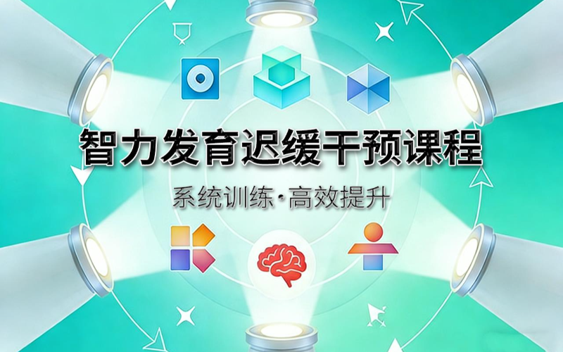 儿童智力发育迟缓干预系统课程