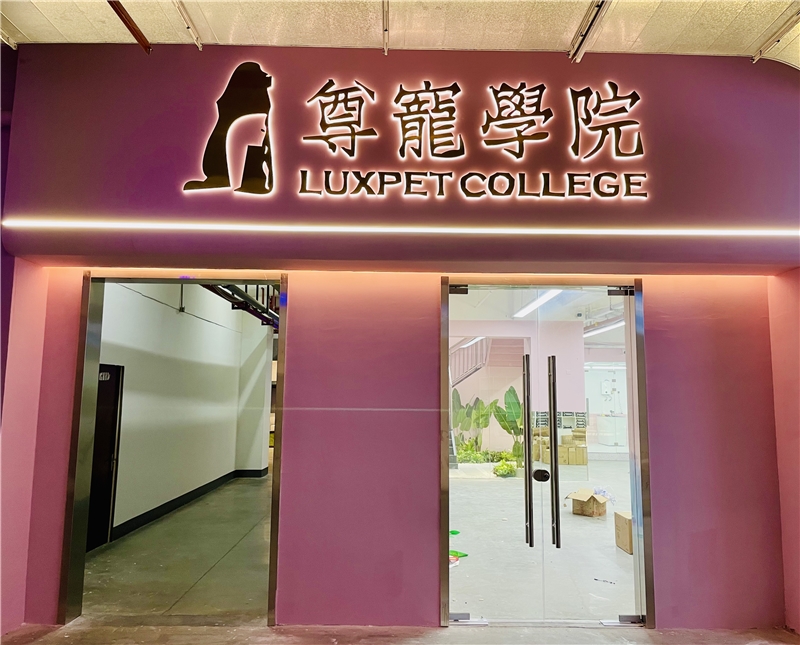 广州B+高级美容师课程