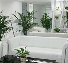 天府软件园校区