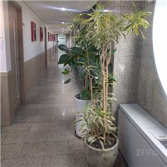 韩国首尔特别市