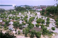 机场路训练基地