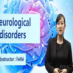 泛特宏景网络教育