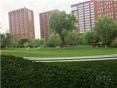 锋创科技园总校区