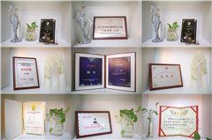 南京王振形象美学