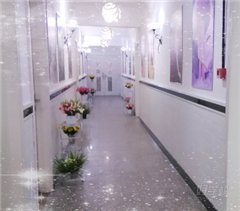 东城花园新村校区