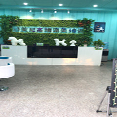 天宁关河东校区