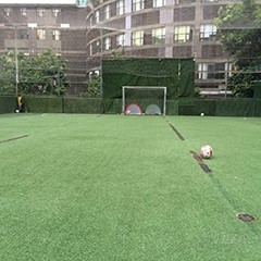 深圳福田联合校区