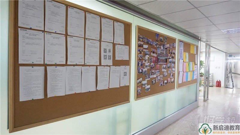 新启迪教育