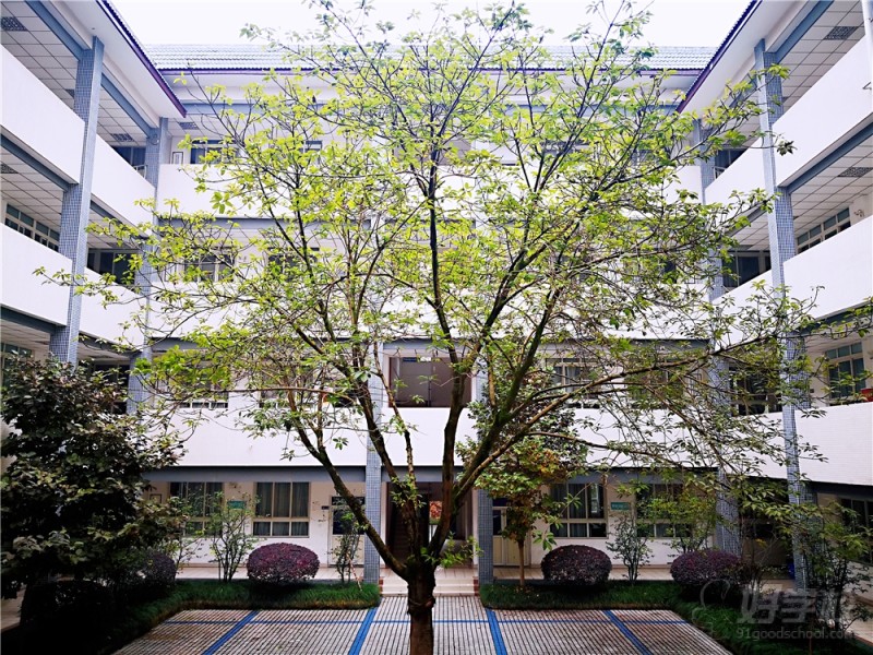 四川大学青羊校区