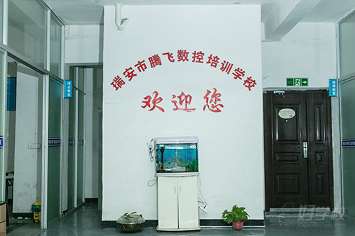 瑞安东二路校区