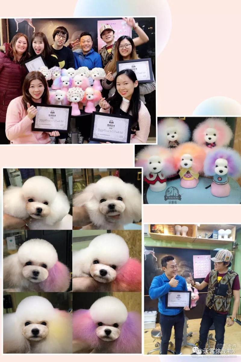 山东济南槐荫校区