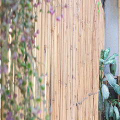 广州广美私塾校区