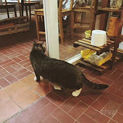 广州广美私塾校区