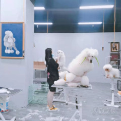 郑州新悦城校区