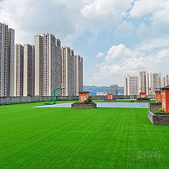 重庆沙坪坝校区