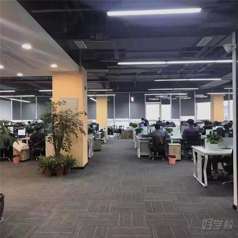 成都市天府新区