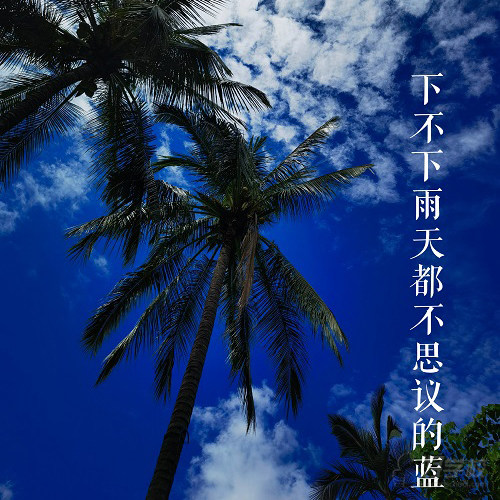 西双版纳景洪校区