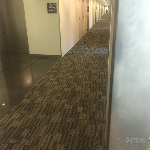 欣冉留学线上授课