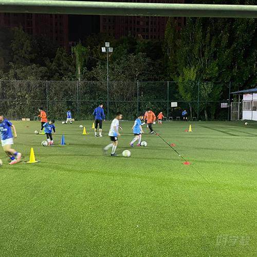 奎文金马怡园校区