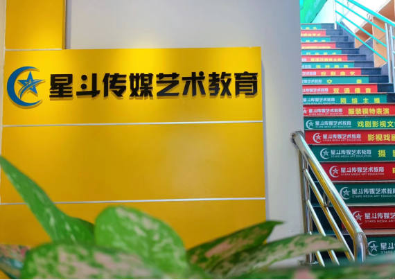 广州星斗艺术教育