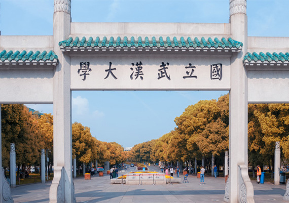 编导艺考