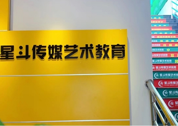 广州星斗艺术教育