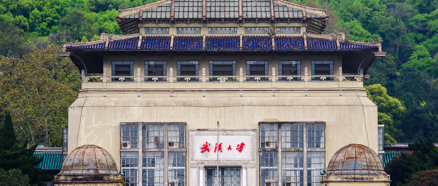 武汉大学