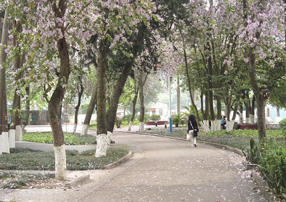 广外职业技能培训中心