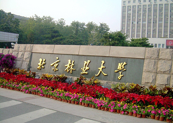 北京林业大学