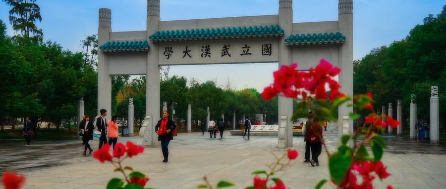 大学