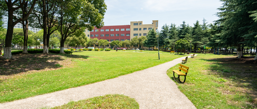大学