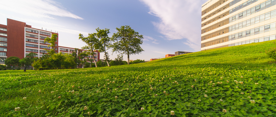 大学
