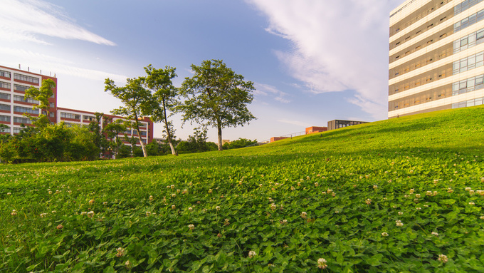 传媒类大学