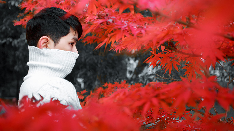观念摄影照片