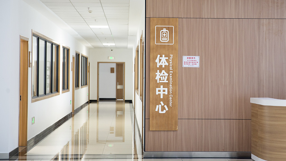 体检