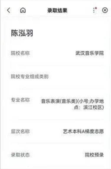 陈泓羽 武汉音乐学院