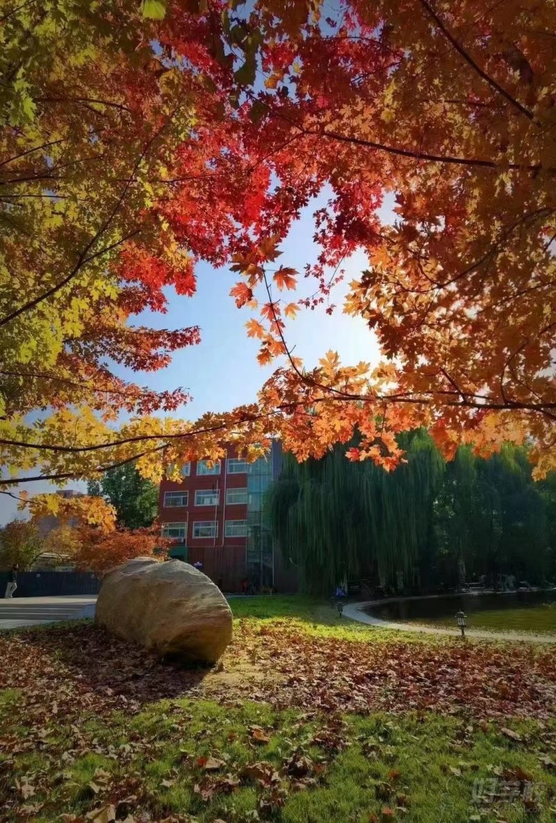 中国传媒大学游学