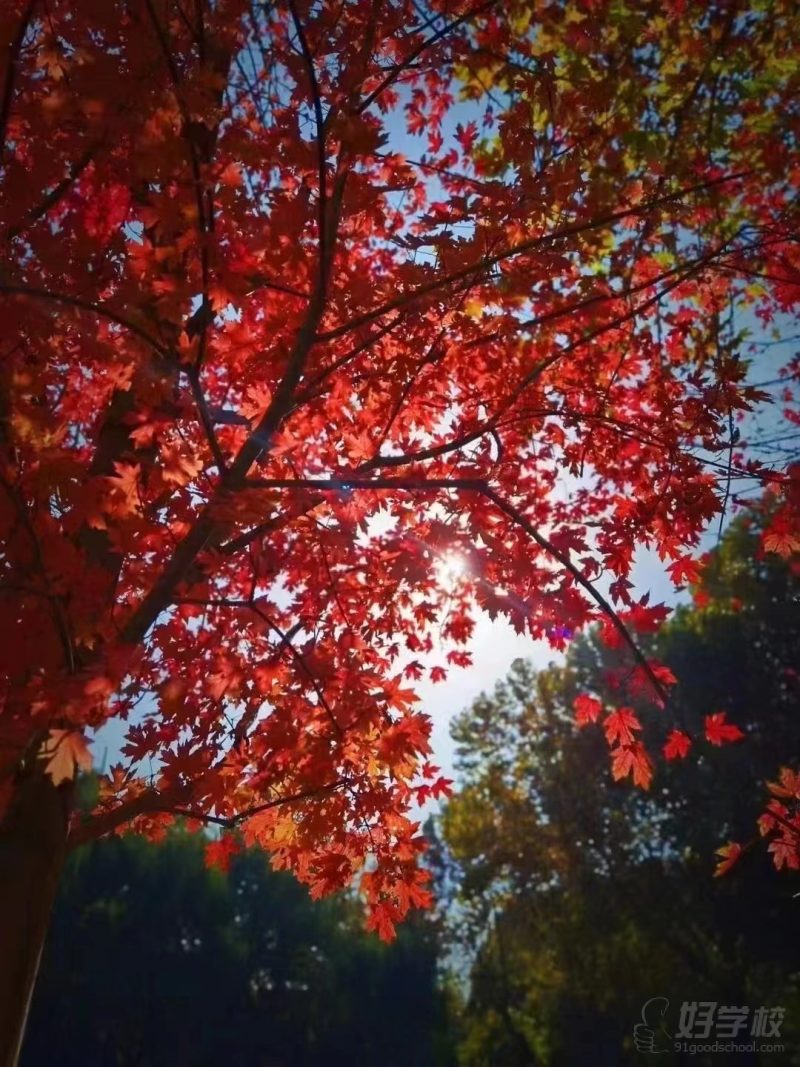 中国传媒大学游学