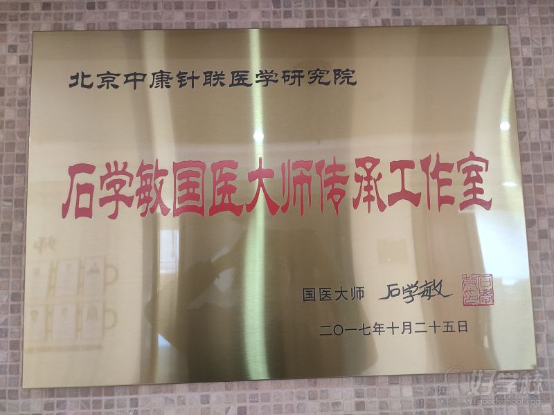 国医大师石学敏传承工