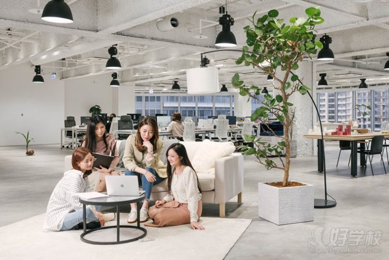 上海到英国咨询点