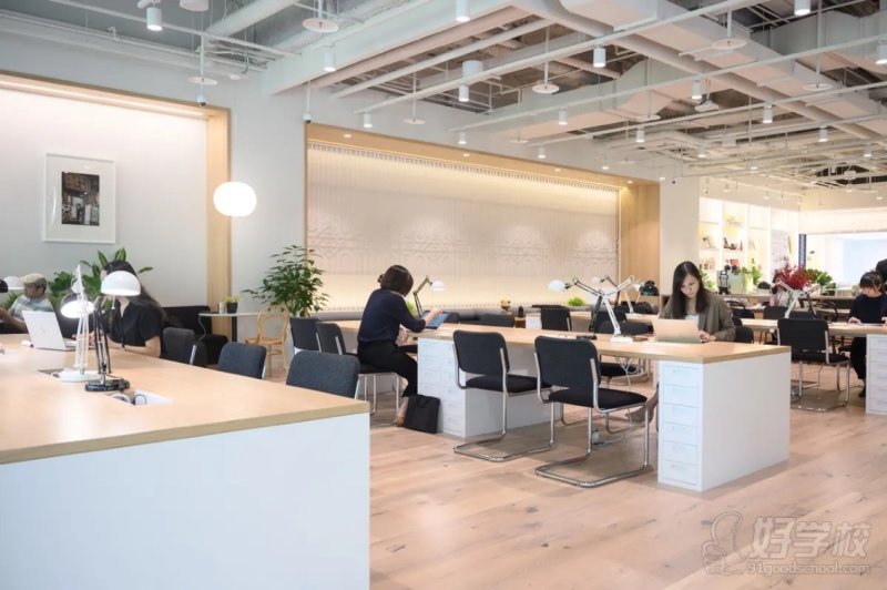 上海到英国咨询点