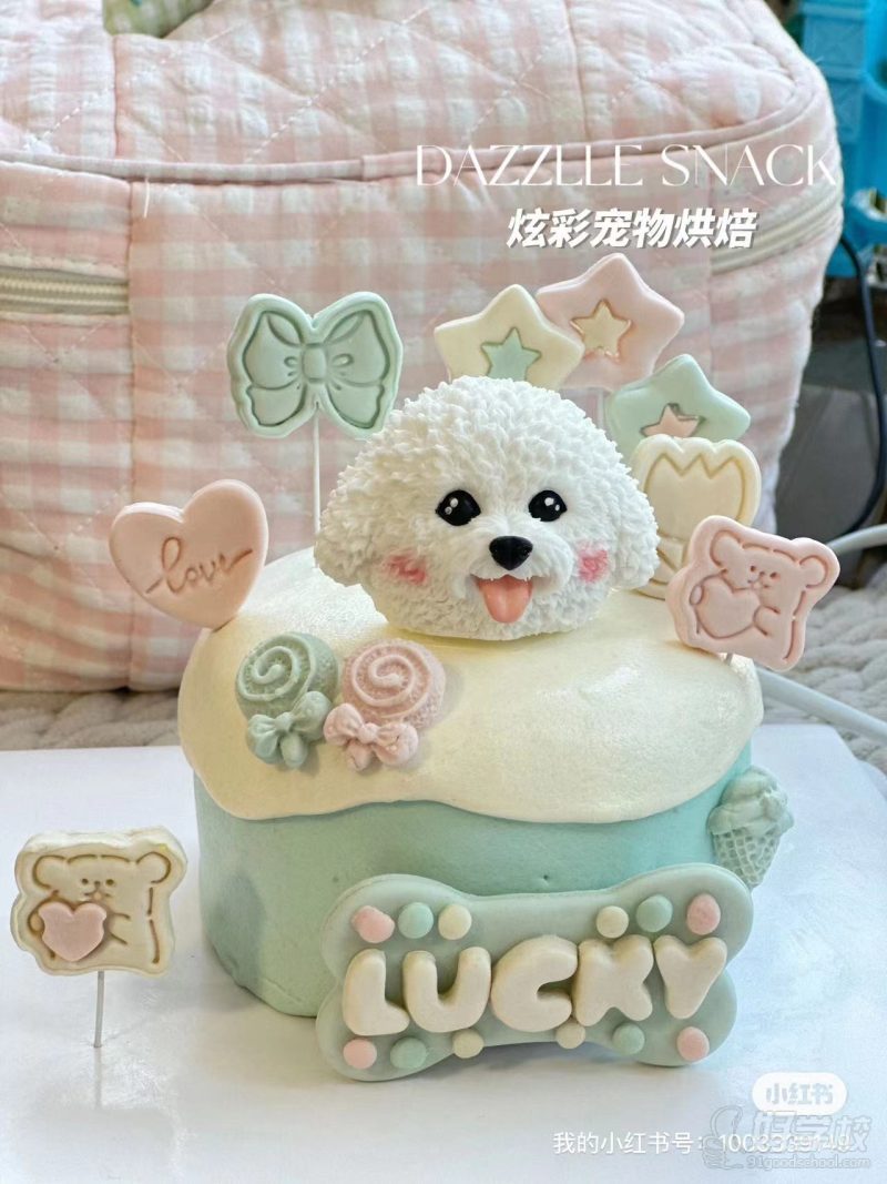 宠物烘培-学员作品