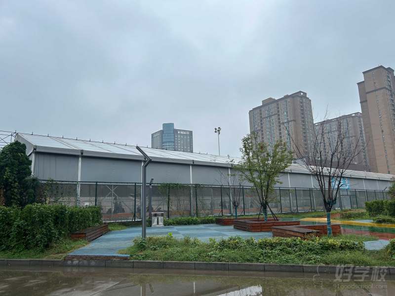 省体校区篮球场